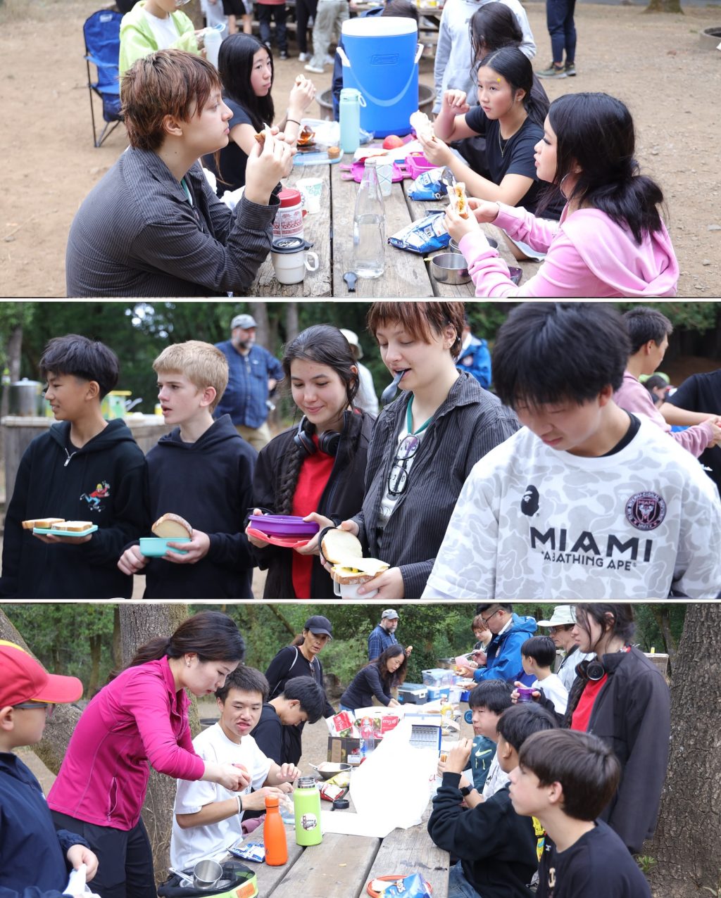 Instagram post from hsartssf. This post is in position 12.