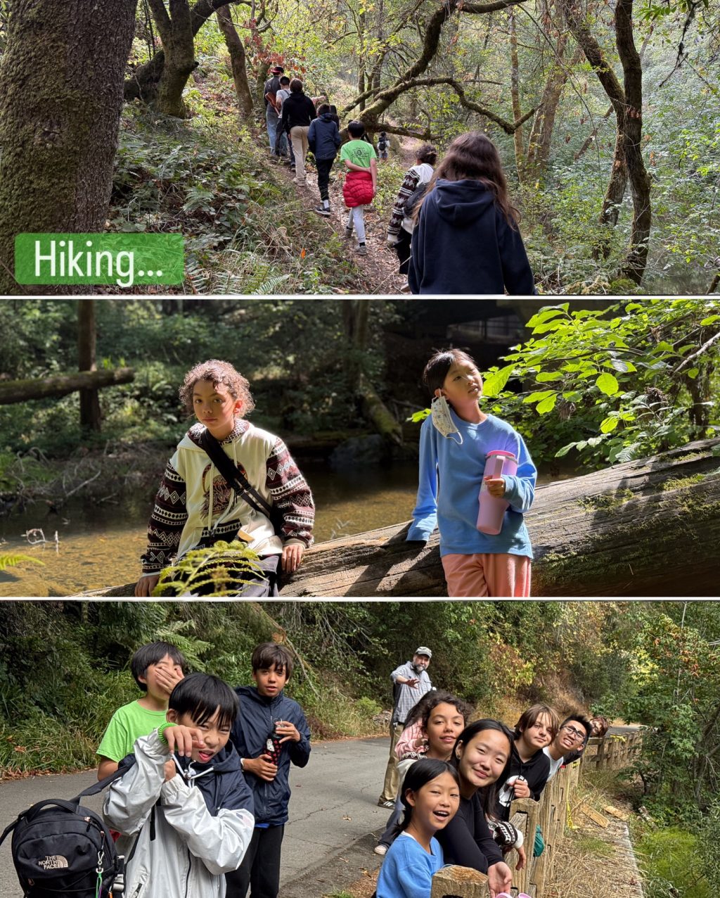 Instagram post from hsartssf. This post is in position 1.